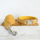 Collar plus Leash / L
