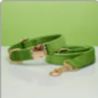 Green set / XS