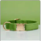 Green / XS