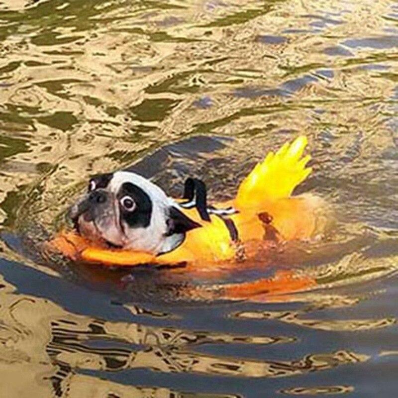 Dog wearing orange shark-themed life jacket while swimming.