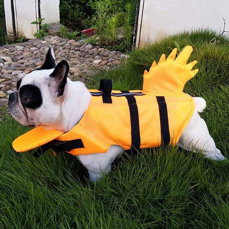 French bulldog in orange shark-fin life vest with black straps on grass.