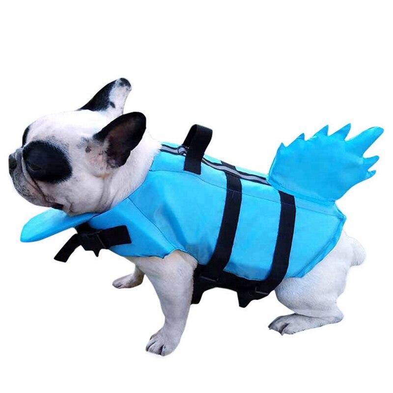French bulldog wearing blue shark-fin life vest with black straps.