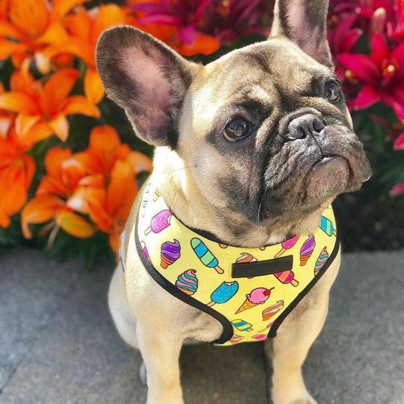 Breathable Small Dog Cat Harness Vest Padded Halter