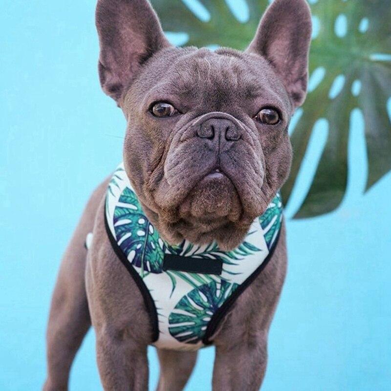 Breathable Small Dog Cat Harness Vest Padded Halter